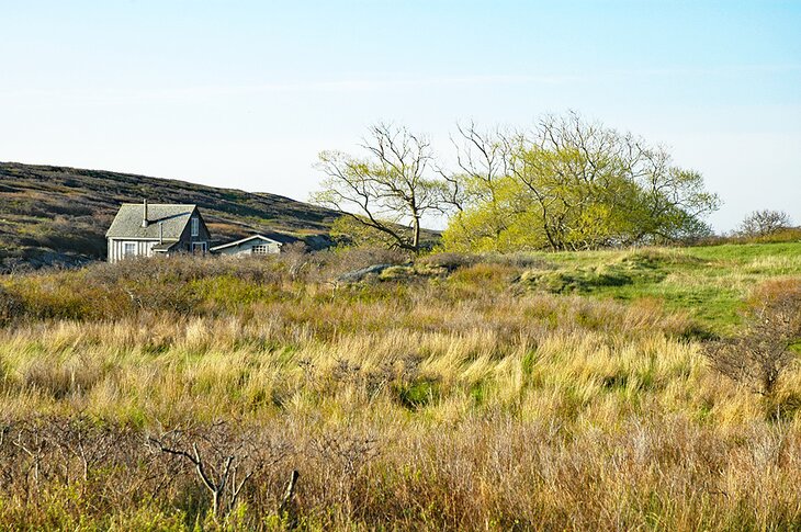 A cottage on Damariscove Island