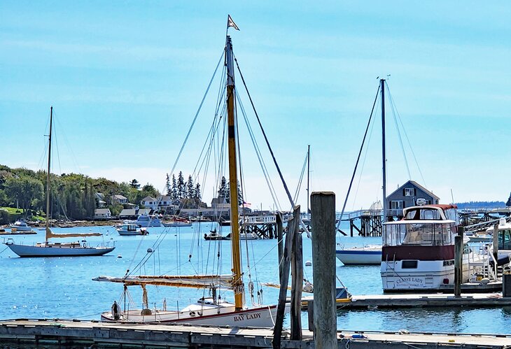 The Bay Lady, Balmy Day Cruises