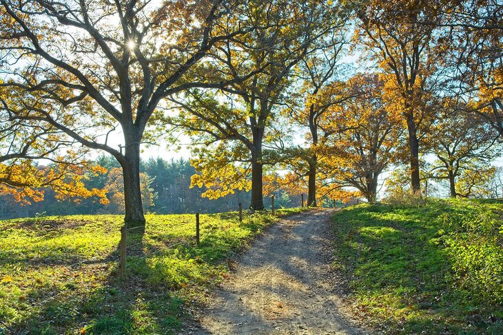 Foot path through Appleton Farms