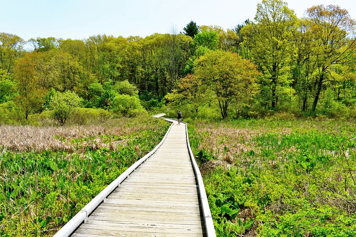 Battle Road Trail near Boston