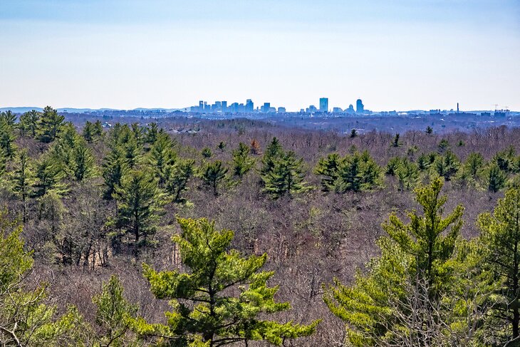View of the Boston skyline from Lynn Woods Reservation