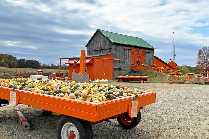 Gene the Pumpkin Man farm stand