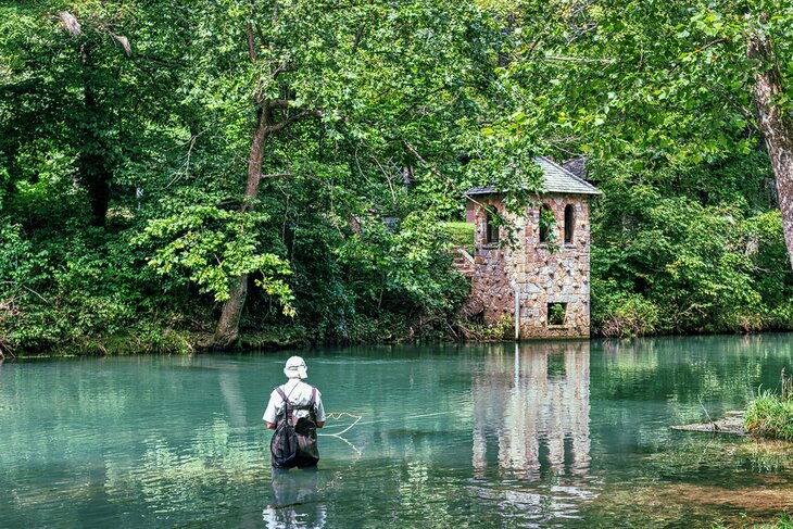 Fly fishing at Bennett Springs in Missouri