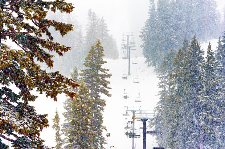 Mt. Hood Meadows Ski Resort