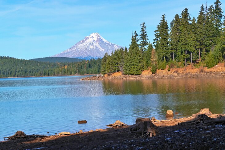 View from Timothy Lake