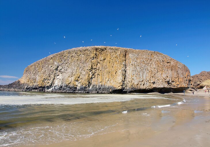 Seal Rock State Recreation Site