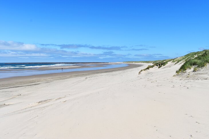 South Beach State Park