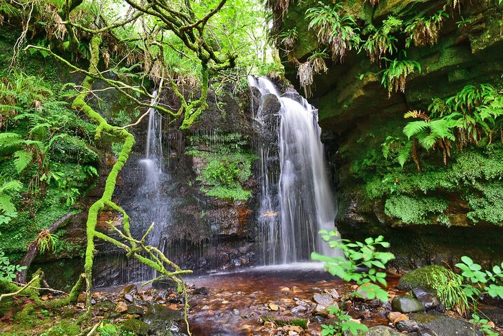 Glenashdale Falls