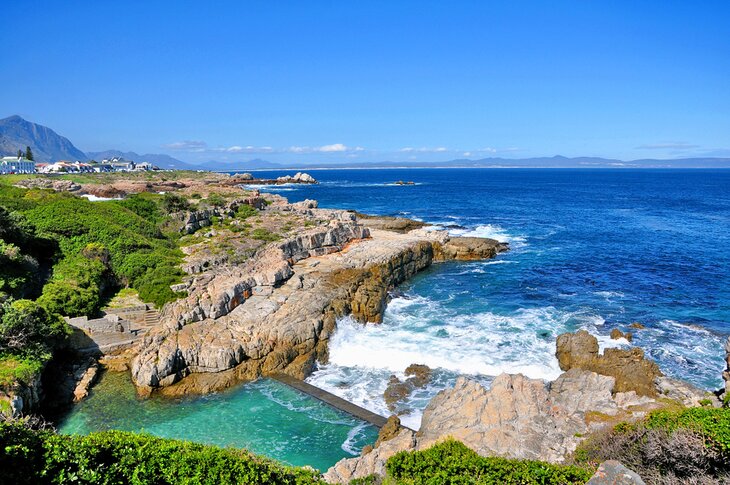 Hermanus