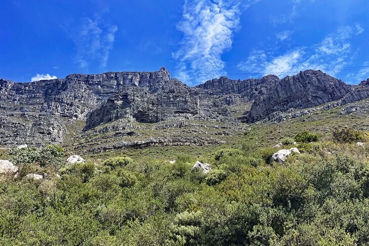 Table Mountain, Cape Town, South Africa