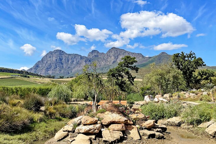 Franschhoek