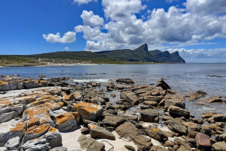 Table Mountain National Park