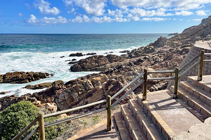 10 cosas mejor valoradas para hacer en Mossel Bay, Sudáfrica