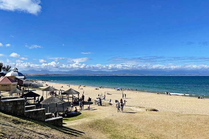 10 cosas mejor valoradas para hacer en Mossel Bay, Sudáfrica