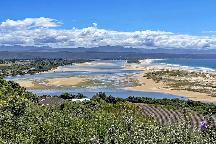 14 cosas mejor valoradas para hacer en Plettenberg Bay, Sudáfrica