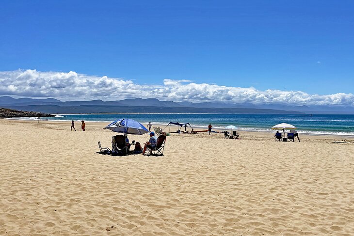 14 cosas mejor valoradas para hacer en Plettenberg Bay, Sudáfrica