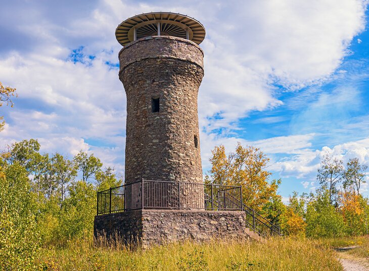 Mount Theodore Roosevelt Monument (Friendship Tower)