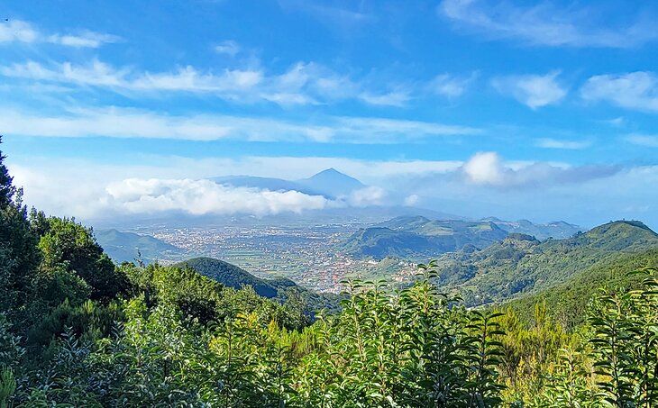 View from Anaga Rural Park