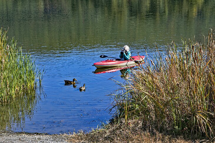 Kayaking on West River