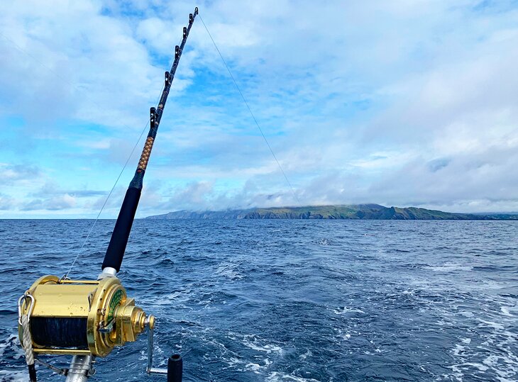 Fishing in Milford Haven