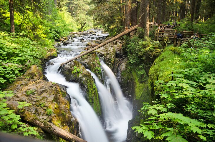 Sol Duc Falls, Olympic National Park