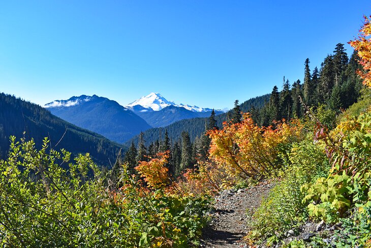 Mount Baker seen from Yellow Aster Butte Trail