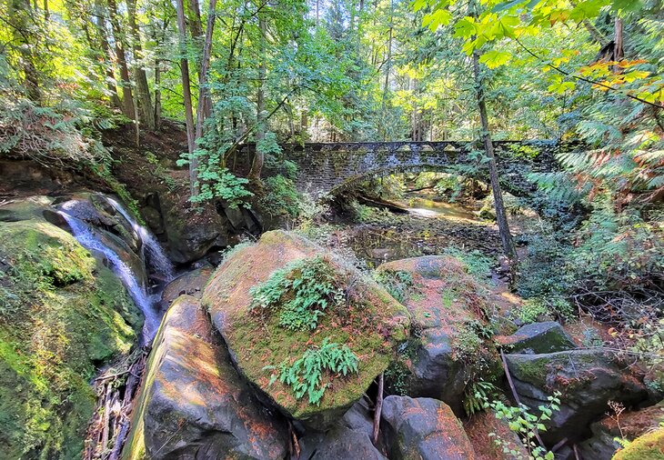 Whatcom Falls Park