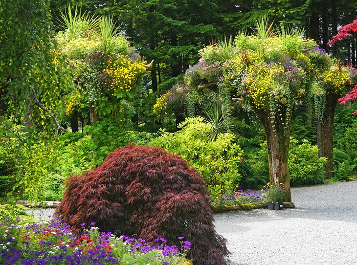 Flower Towers at Glacier Gardens Rainforest Adventure