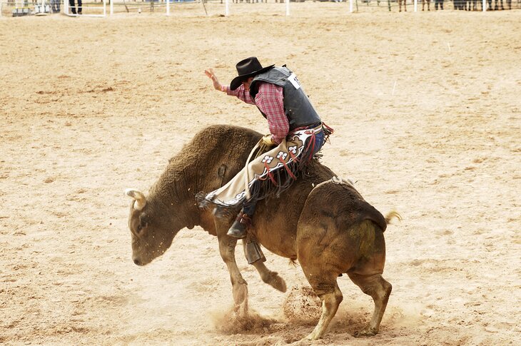 Bull riding