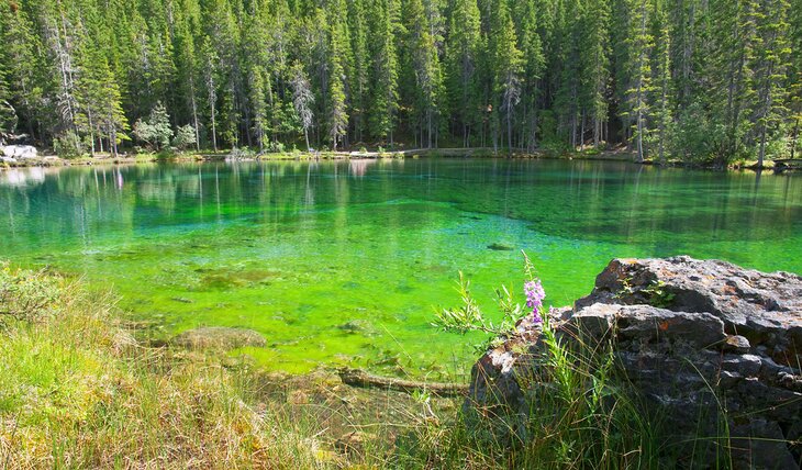 Grassi Lakes