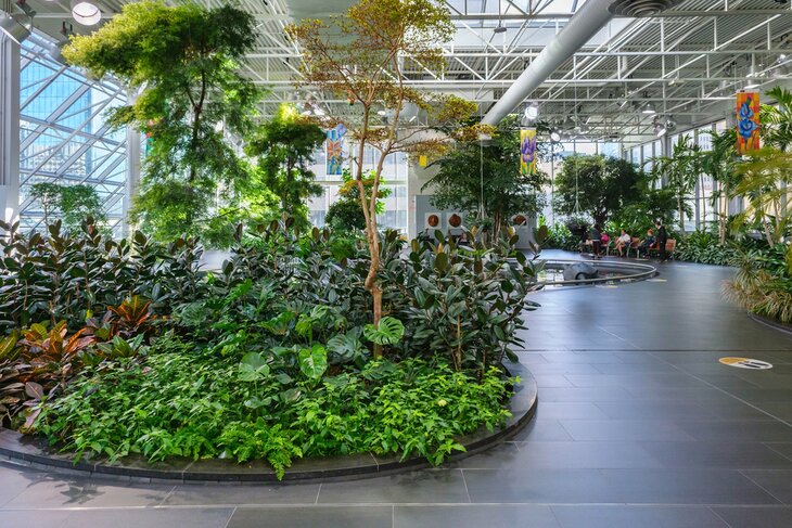 Devonian Gardens