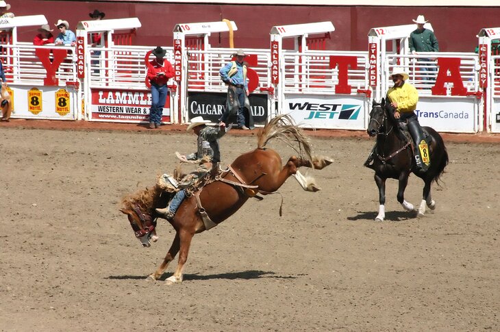 Calgary Stampede