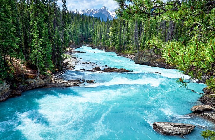 Kicking Horse River