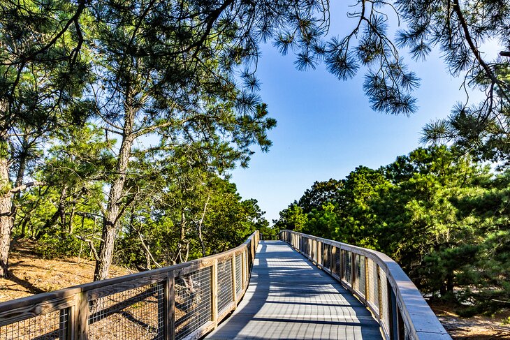 Cape Henlopen State Park