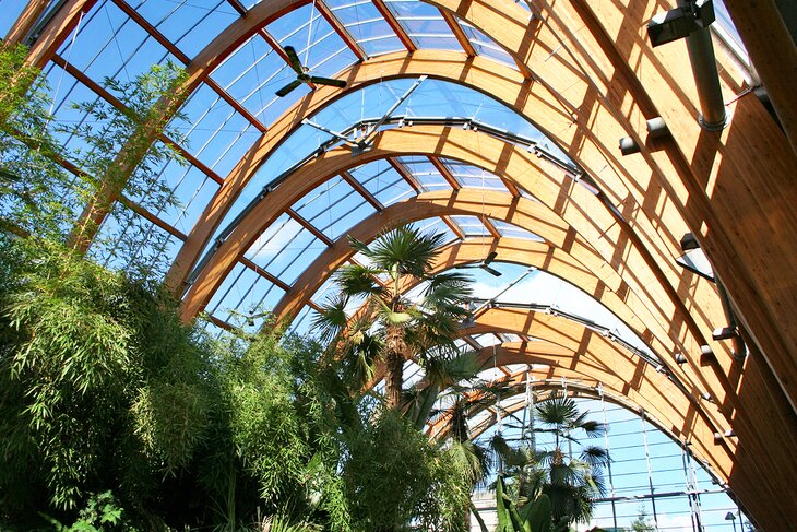 Sheffield Winter Garden