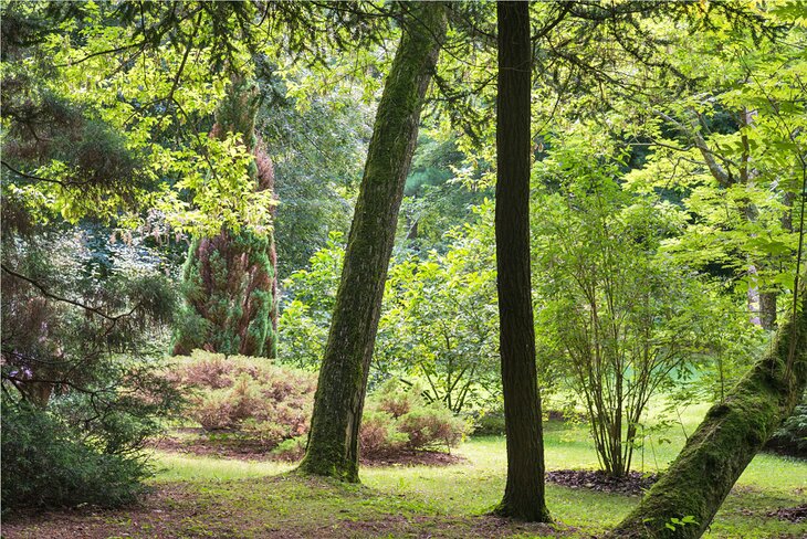 Arboretum de Balaine