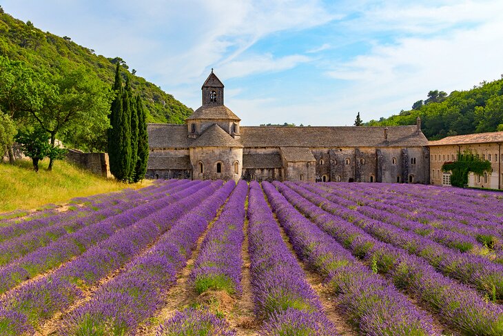 Sénanque Abbey