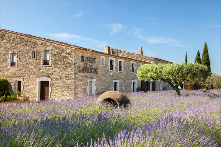 Lavender Museum in Coustellet