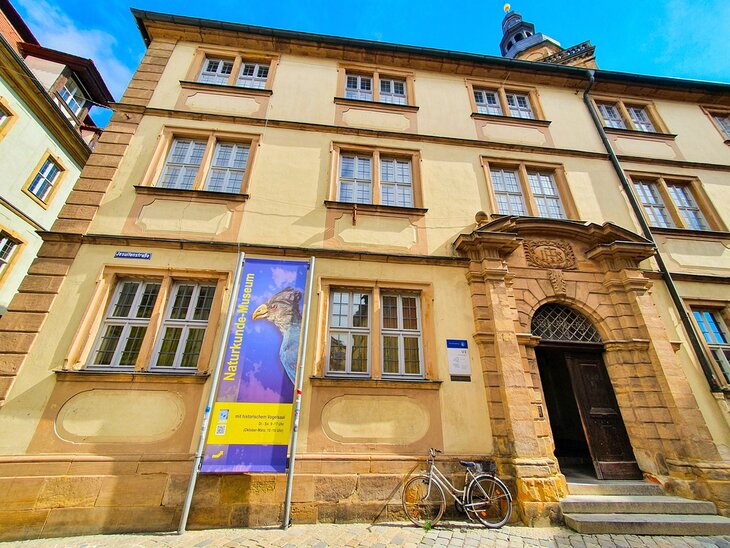 Bamberg Natural History Museum
