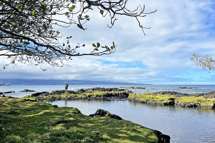 Carlsmith Beach Park