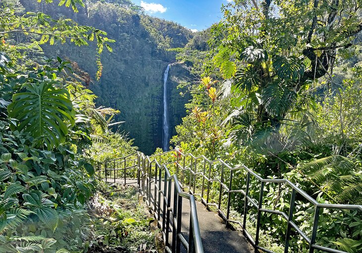 Akaka Falls Trail