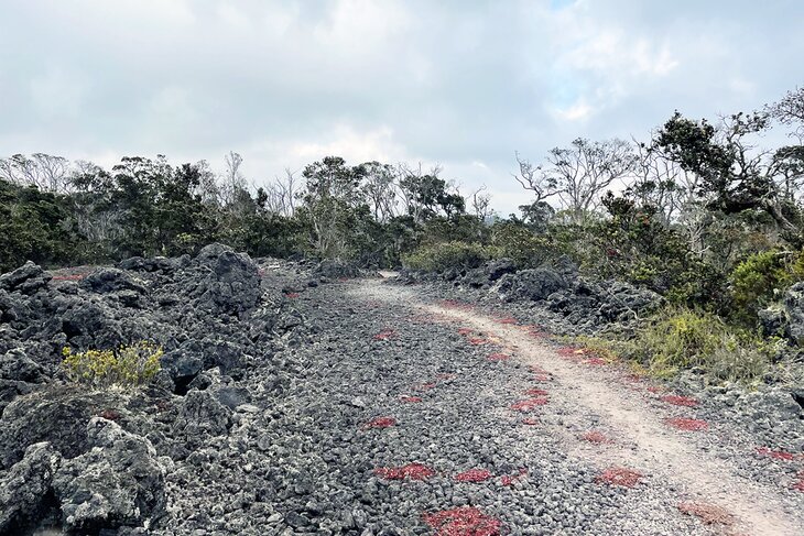 Kaulana Manu Nature Trail