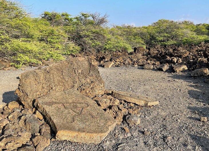 Petroglyphs along the Malama Trail