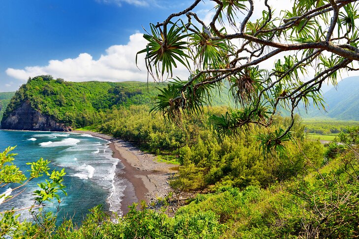 View from Pololu trail