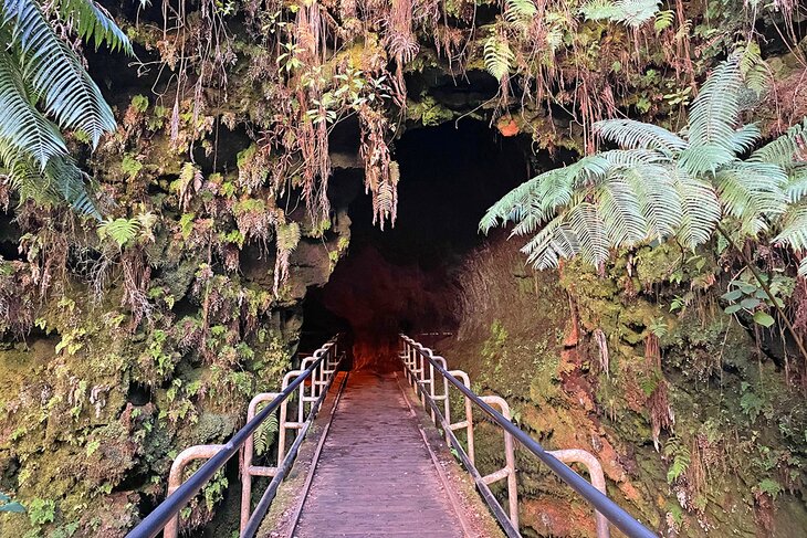 Thurston Lava Tube Trail