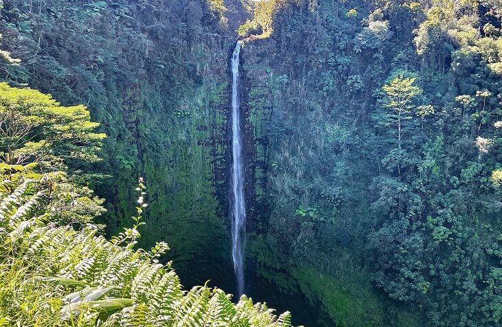 'Akaka Falls