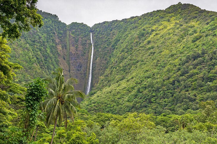 Hi'ilawe Falls