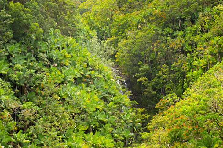 Nanue Falls