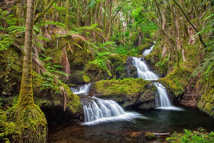 Onomea Falls