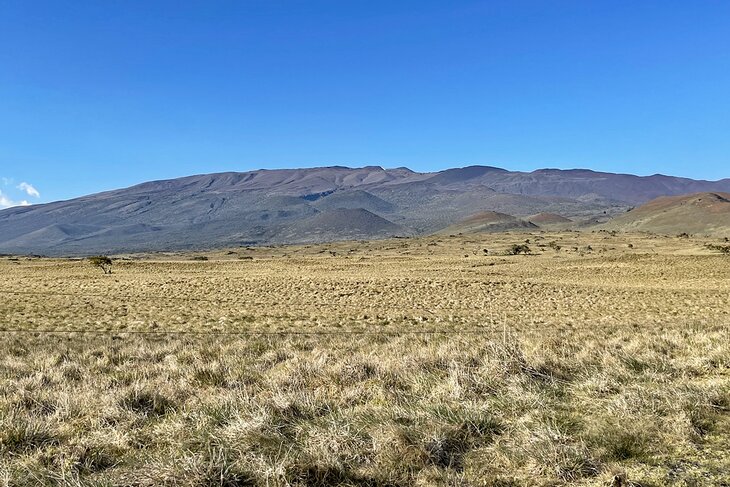 View of Mauna Kea